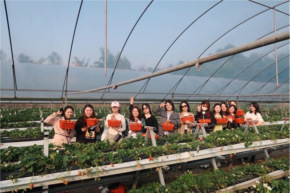 三月摘草莓 春天与美好相迎——三八妇女节主题活动